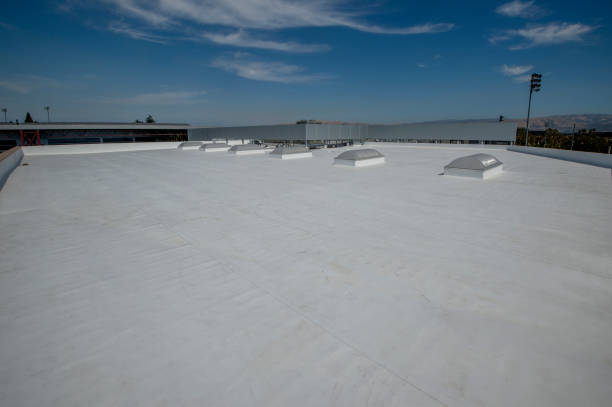 Best Sheet Metal Roofing  in Saegertown, PA